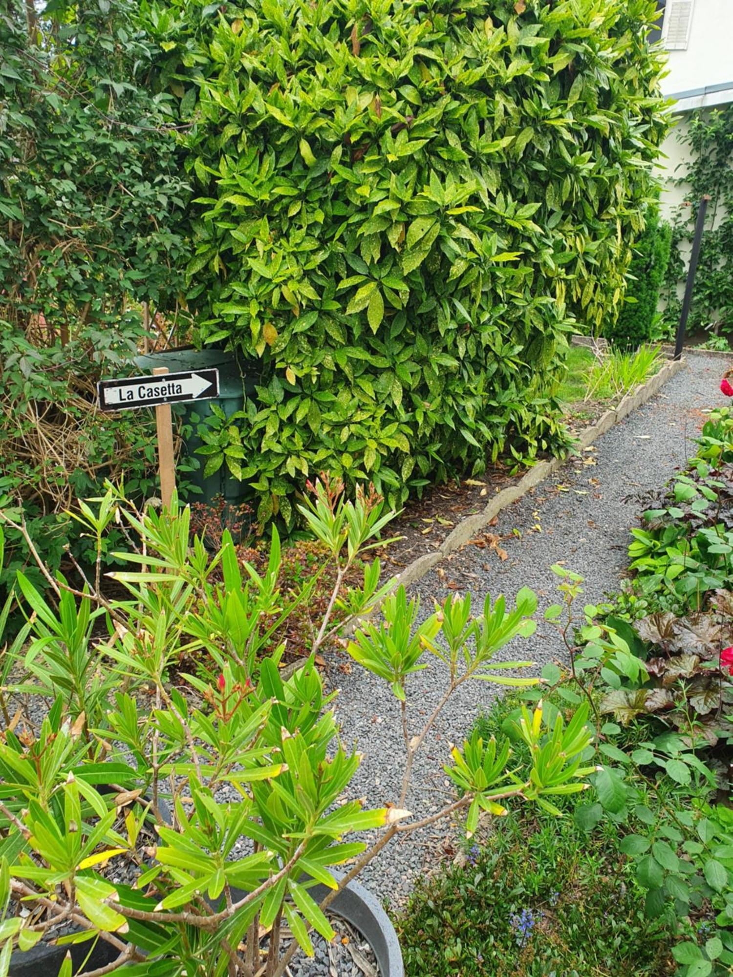 Charles Bed & Breakfast Thaon-les-Vosges Exterior photo